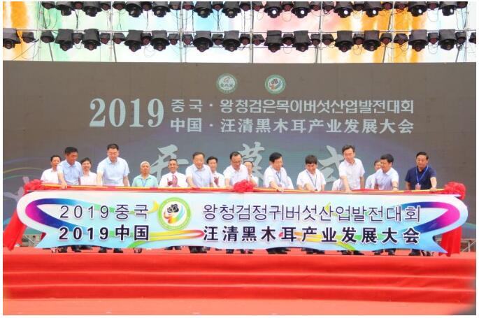 1573697732139151.jpg a2.jpg